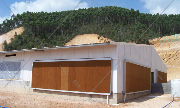 還在為廠房的墻體煩惱嗎？使用星發(fā)優(yōu)質(zhì)墻體廠房塑料瓦