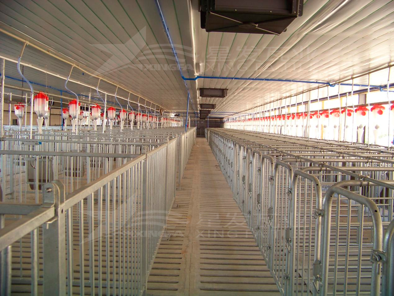 高溫來襲，養(yǎng)殖場安裝樹脂瓦，為小動物營造避暑勝地