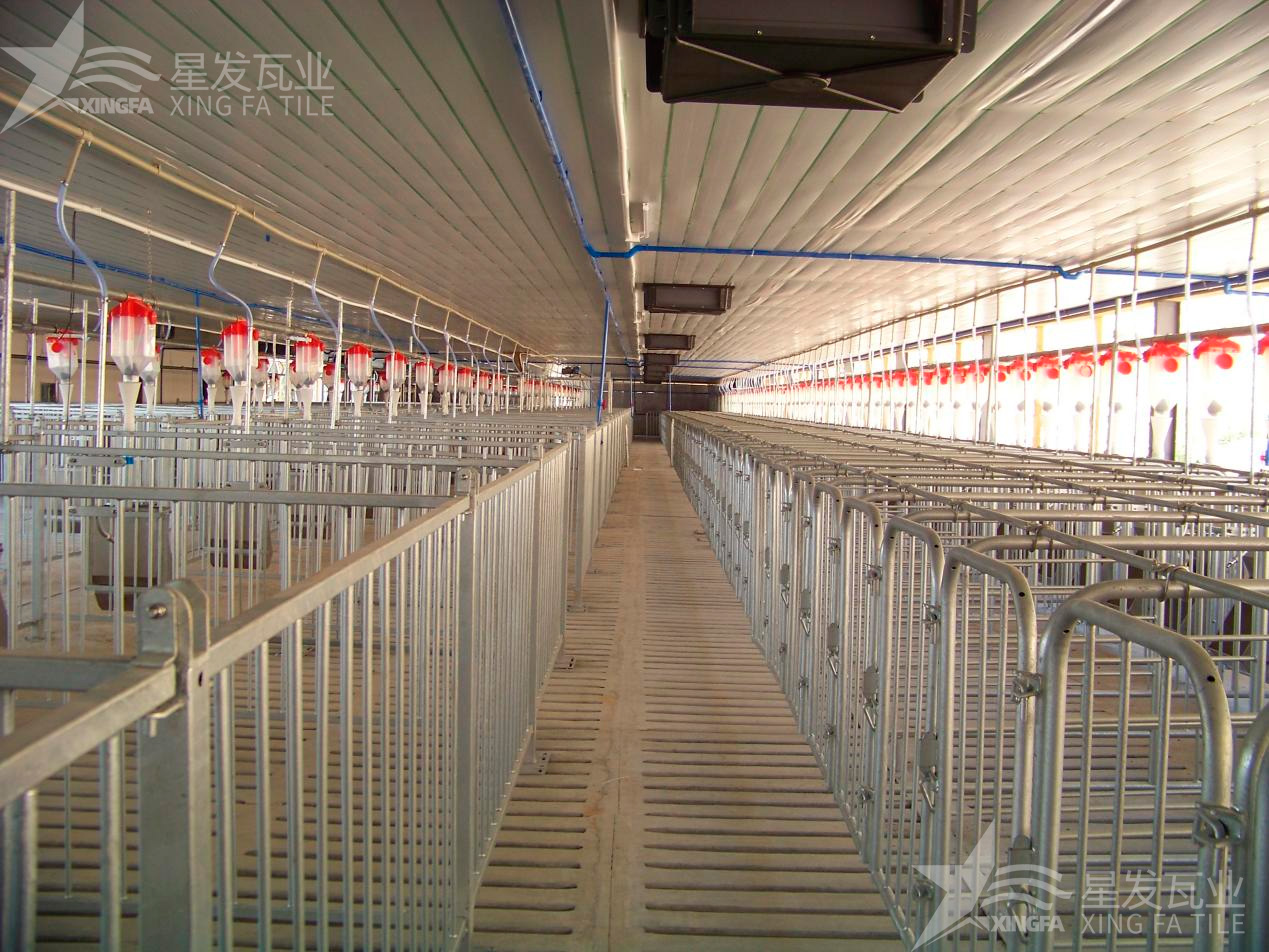 炎炎夏日即將來臨，為什么養(yǎng)殖場越來越多地選擇PVC瓦？