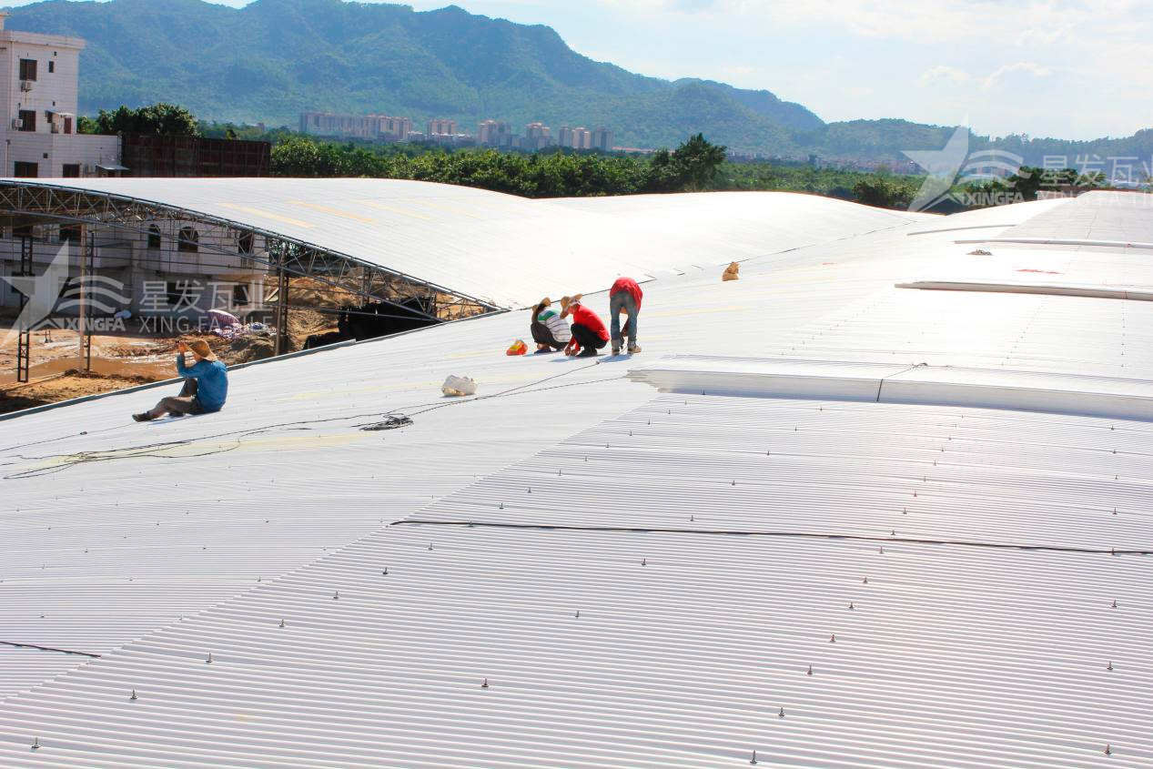 樹脂瓦漏水？不要慌，這些方法能夠快速解決問題！