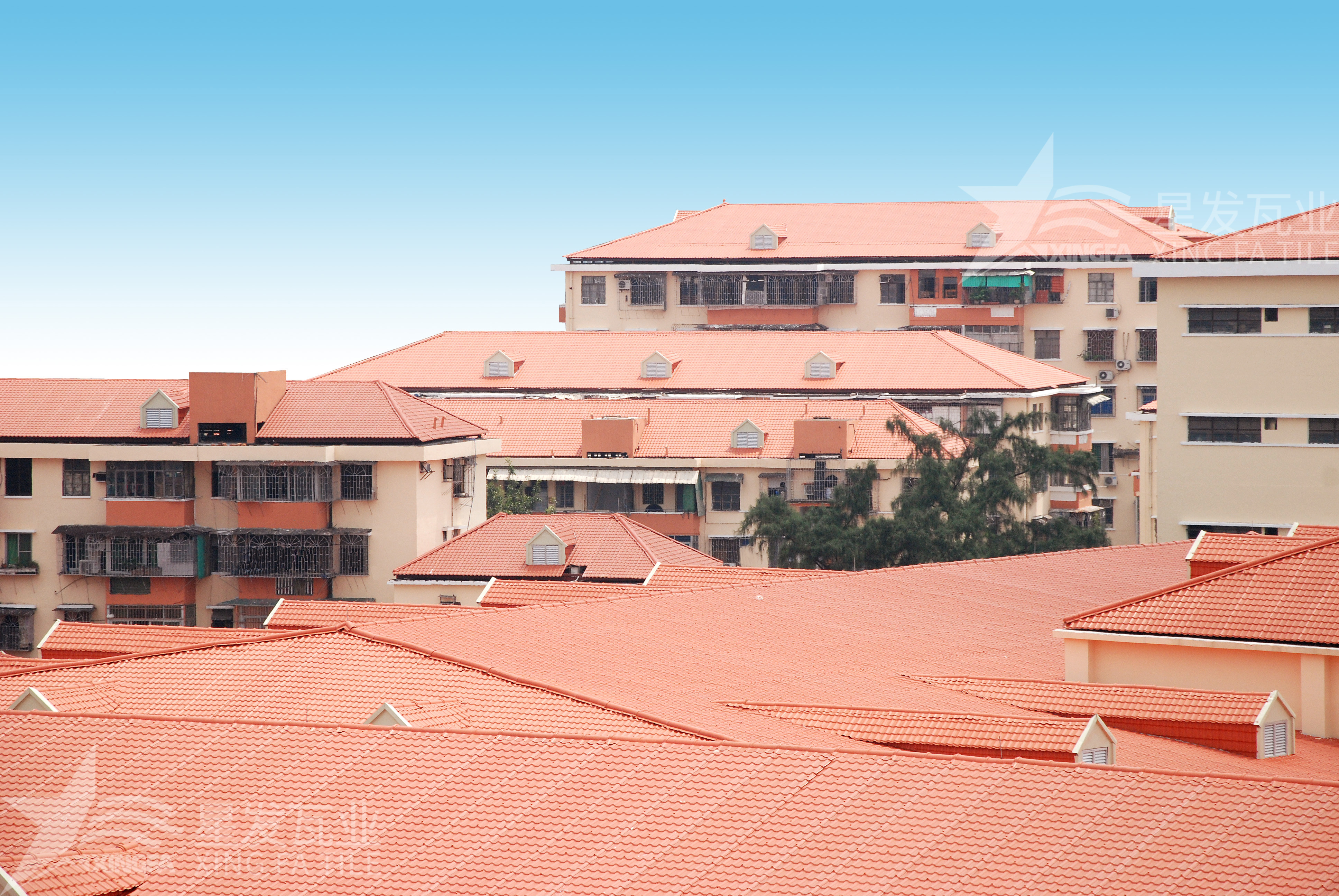 揭秘！居然還有人不知道合成樹脂瓦多少錢一方